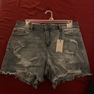 Judy Blue Jean shorts 1x